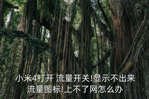  小米4打開 流量開關(guān)!顯示不出來 流量圖標(biāo)!上不了網(wǎng)怎么辦