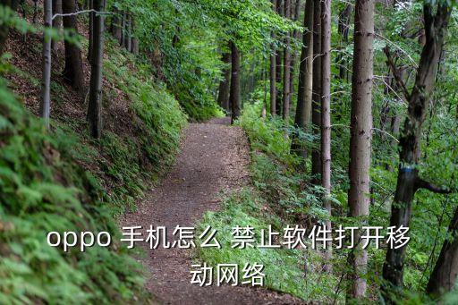 oppo 手機(jī)怎么 禁止軟件打開(kāi)移動(dòng)網(wǎng)絡(luò)