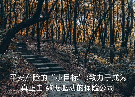 平安一年經(jīng)驗(yàn) 大數(shù)據(jù)