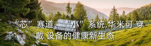 “芯”賽道、“小”系統(tǒng),華米可 穿戴 設(shè)備的健康新生態(tài)