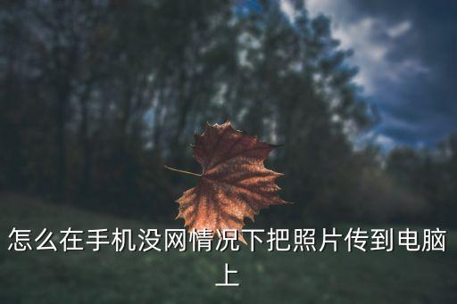 怎么在手機(jī)沒網(wǎng)情況下把照片傳到電腦上