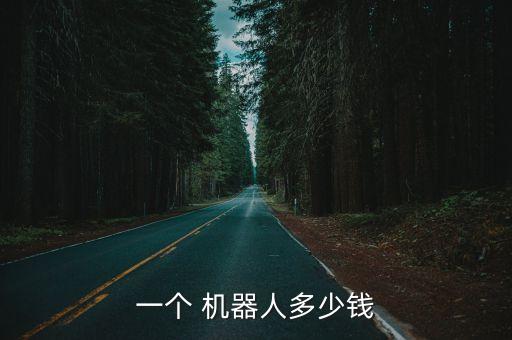 一個(gè) 機(jī)器人多少錢(qián)