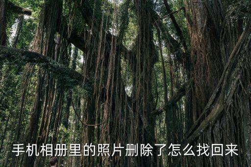 迅捷數(shù)據(jù)恢復(fù)怎么樣,嗨數(shù)據(jù)恢復(fù)軟件怎么樣免費(fèi)嗎