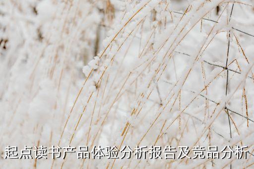 起點(diǎn)讀書(shū)產(chǎn)品體驗(yàn)分析報(bào)告及競(jìng)品分析