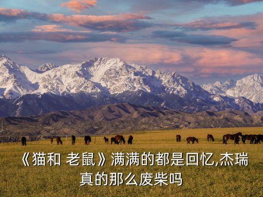 老鼠機(jī)器人圖片大全大圖,老鼠圖片大全大圖圖片欣賞
