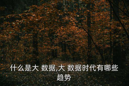 大數(shù)據(jù)的基礎設施