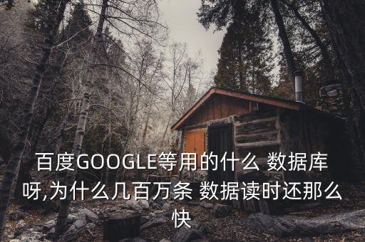 百度GOOGLE等用的什么 數(shù)據(jù)庫呀,為什么幾百萬條 數(shù)據(jù)讀時(shí)還那么快