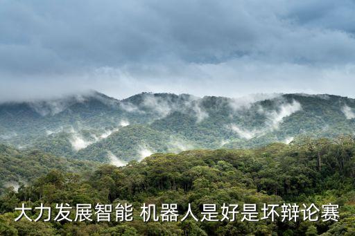 大力發(fā)展智能 機(jī)器人是好是壞辯論賽