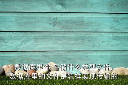  數(shù)據(jù)庫里都 存儲(chǔ)什么類型文件, 數(shù)據(jù)庫里的文件是怎樣實(shí)現(xiàn)傳輸?shù)? class=