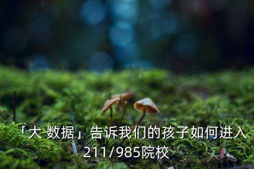 「大 數(shù)據(jù)」告訴我們的孩子如何進(jìn)入211/985院校