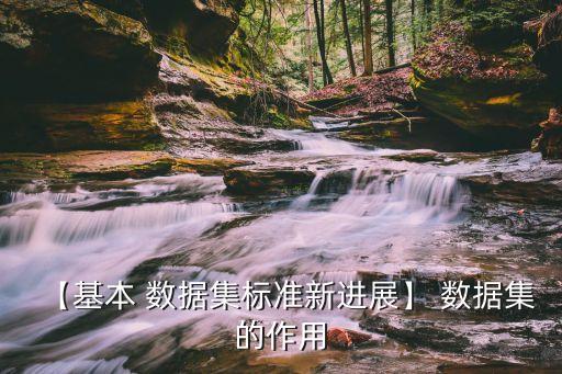 【基本 數(shù)據(jù)集標(biāo)準(zhǔn)新進(jìn)展】 數(shù)據(jù)集的作用