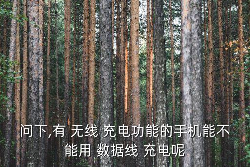 可以無線充電和數(shù)據(jù)線一起充電嗎,數(shù)據(jù)線加無線充電可以一起沖嗎