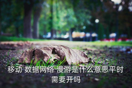 手機的數(shù)據(jù)漫游是什么意思,oppo手機數(shù)據(jù)漫游是什么意思