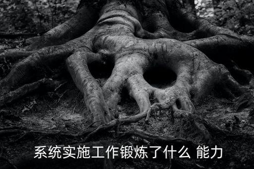  系統(tǒng)實施工作鍛煉了什么 能力
