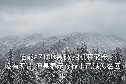  佳能a710is數(shù)碼 相機(jī)存儲(chǔ)卡沒(méi)有照片,但是顯示存儲(chǔ)卡已滿(mǎn)怎么回事