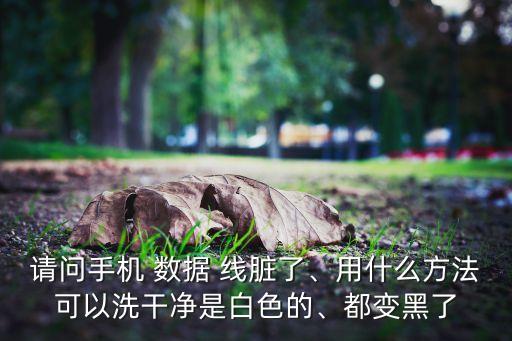 請問手機 數(shù)據(jù) 線臟了、用什么方法可以洗干凈是白色的、都變黑了