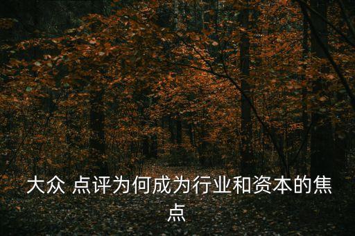  大眾 點評為何成為行業(yè)和資本的焦點