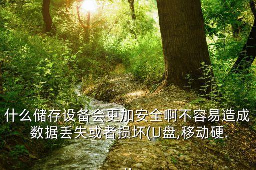 什么儲(chǔ)存設(shè)備會(huì)更加安全啊不容易造成 數(shù)據(jù)丟失或者損壞(U盤,移動(dòng)硬...