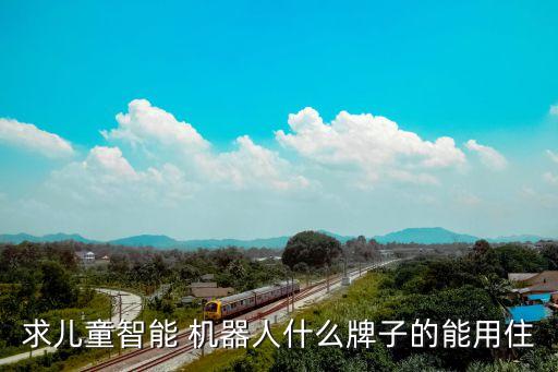 求兒童智能 機(jī)器人什么牌子的能用住