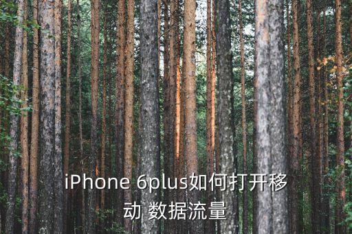 iPhone 6plus如何打開移動(dòng) 數(shù)據(jù)流量