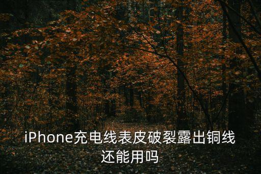iPhone充電線表皮破裂露出銅線還能用嗎