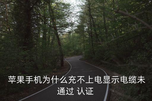 蘋果數(shù)據(jù)線沒(méi)認(rèn)證充電器,蘋果14promax有充電器和數(shù)據(jù)線嗎