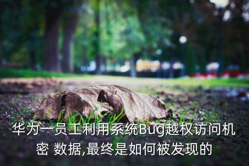 華為一員工利用系統(tǒng)Bug越權(quán)訪問機密 數(shù)據(jù),最終是如何被發(fā)現(xiàn)的