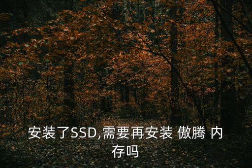 安裝了SSD,需要再安裝 傲騰 內(nèi)存嗎