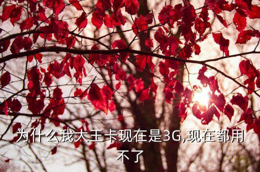 為什么我大王卡現(xiàn)在是3G,現(xiàn)在都用不了