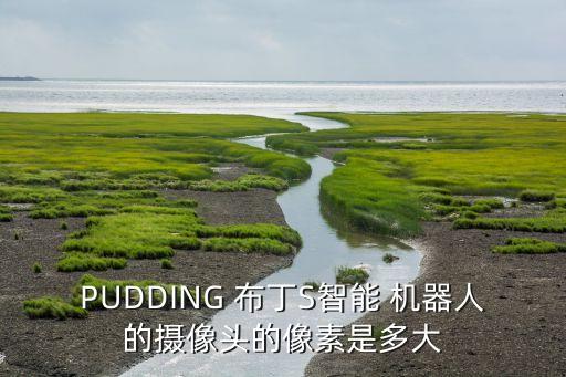 PUDDING 布丁S智能 機(jī)器人的攝像頭的像素是多大