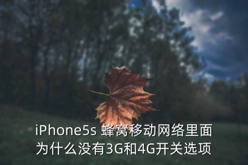 iPhone5s 蜂窩移動網(wǎng)絡里面為什么沒有3G和4G開關選項