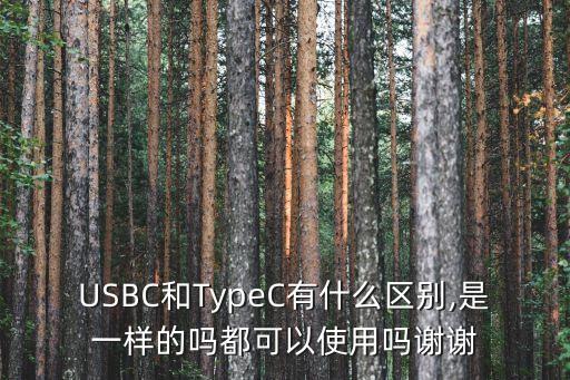 USBC和TypeC有什么區(qū)別,是一樣的嗎都可以使用嗎謝謝