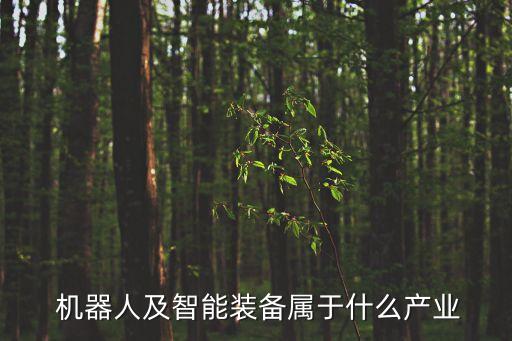 機(jī)器人及智能裝備屬于什么產(chǎn)業(yè)