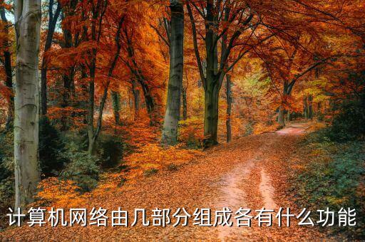 計(jì)算機(jī)網(wǎng)絡(luò)由幾部分組成各有什么功能