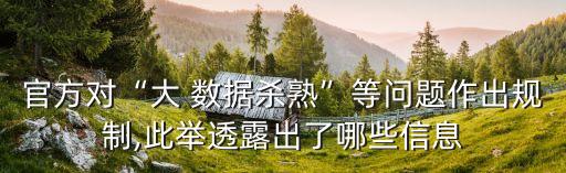 大數(shù)據(jù)時(shí)代 視頻