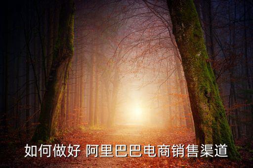 如何做好 阿里巴巴電商銷(xiāo)售渠道