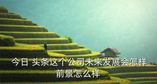  今日 頭條這個公司未來發(fā)展會怎樣前景怎么樣