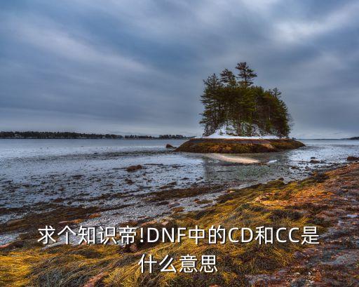 數(shù)據(jù)中心cdcc獎,cdcc中國數(shù)據(jù)中心委員會名單