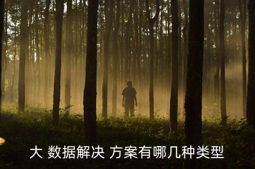 大 數(shù)據(jù)解決 方案有哪幾種類型