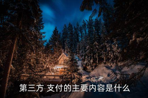  第三方 支付的主要內(nèi)容是什么
