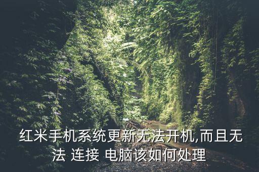 紅米數(shù)據(jù)連接電腦沒反應(yīng),紅米note9pro連接電腦沒反應(yīng)