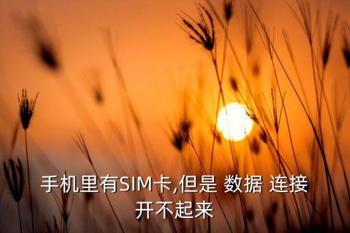 手機里有SIM卡,但是 數(shù)據(jù) 連接開不起來