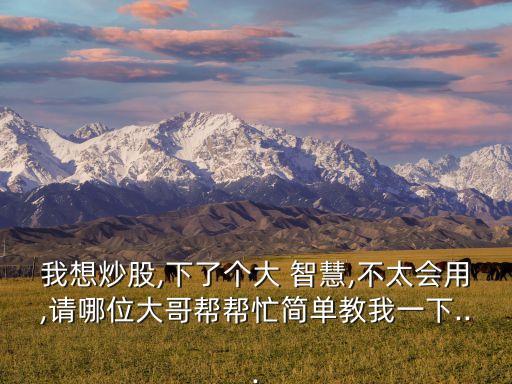 我想炒股,下了個(gè)大 智慧,不太會(huì)用,請哪位大哥幫幫忙簡單教我一下...