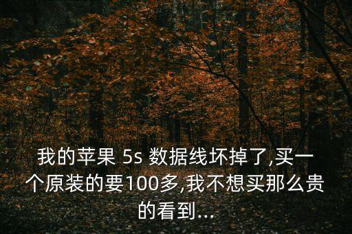 我的蘋果 5s 數(shù)據(jù)線壞掉了,買一個(gè)原裝的要100多,我不想買那么貴的看到...