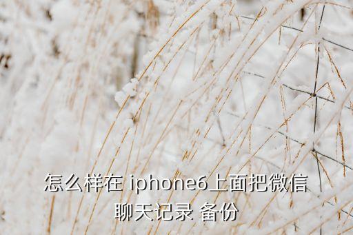 iphone6備份所有數(shù)據(jù)