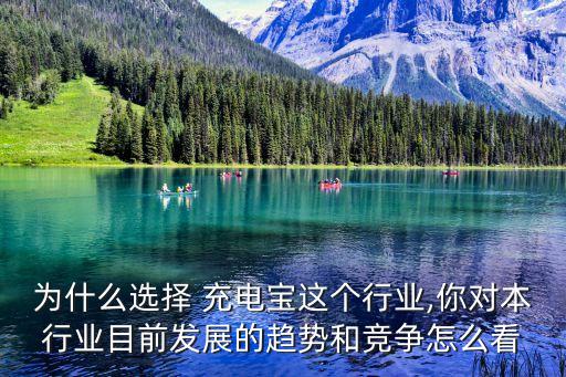 充電寶市場數(shù)據(jù)分析,充電樁運(yùn)營數(shù)據(jù)分析