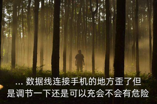 ... 數(shù)據(jù)線連接手機(jī)的地方歪了但是調(diào)節(jié)一下還是可以充會不會有危險(xiǎn)