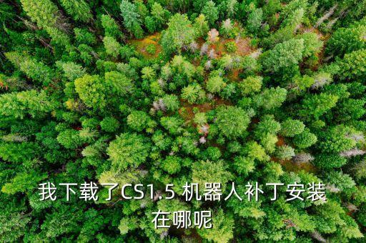 氪號機器人客戶端,以下不屬于機器人客戶端功能的是