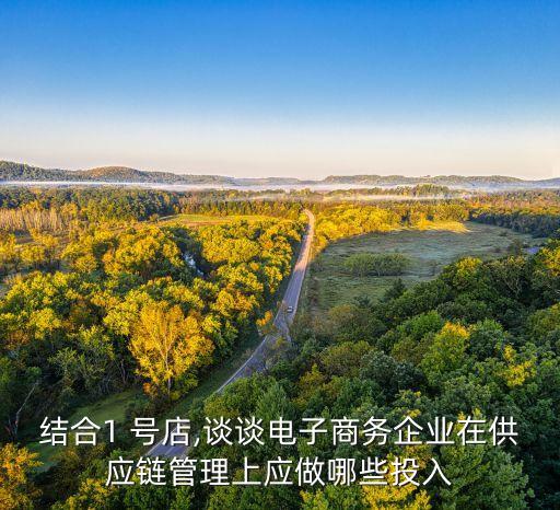 結合1 號店,談談電子商務企業(yè)在供應鏈管理上應做哪些投入