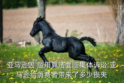 亞馬遜因 濫用算法面臨集體訴訟,亞馬遜給消費(fèi)者帶來了多少損失